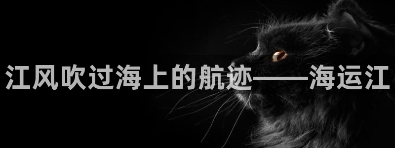 710公海赌赌船有总代理吗