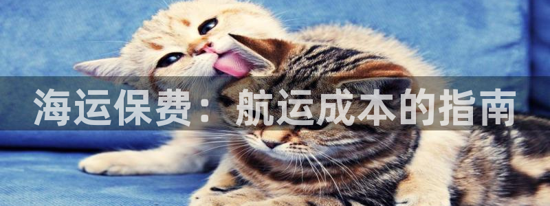 欢迎来到公海710官网