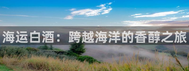 欢迎您来到公海