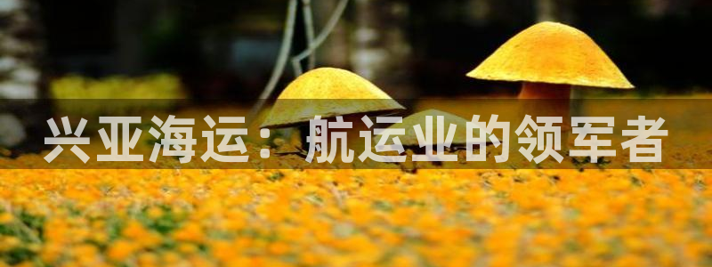 公海赌钱算合法收益吗