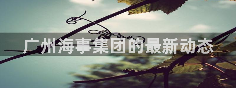 公海赌赌船官网介绍人