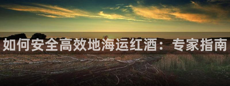 公海赌赌船手机下载