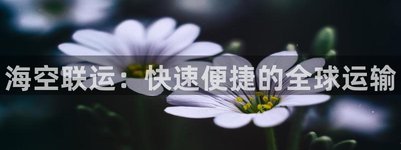欢迎来公海欢迎来赌船!