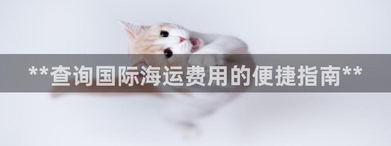 欢迎来到大海