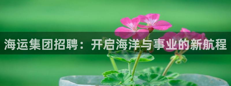 公海赌赌船快速充值